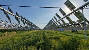 Solar technology could meet UK’s electricity needs without sacrificing farmland News The